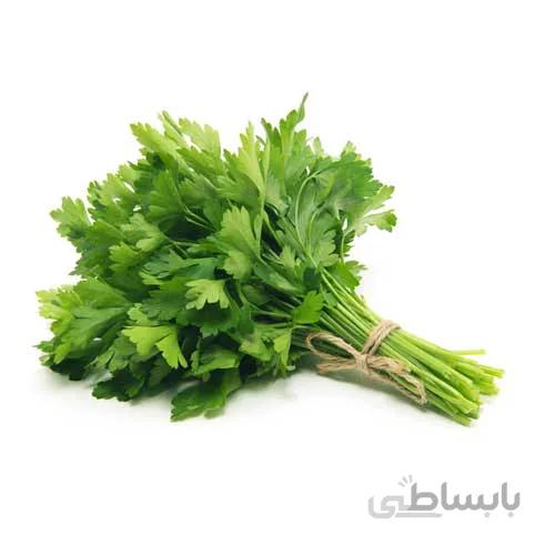بذر جعفری