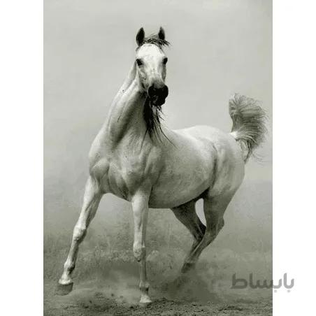 نخ و نقشه تابلو فرش حیوانات کد 37
