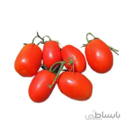 بذر گوجه فرنگی سوپر چف