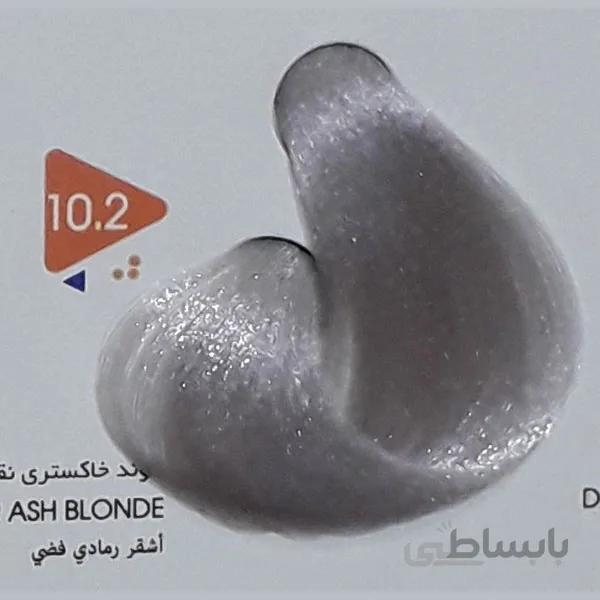 رنگ مو ویتامول Vitamol خاکستری نقره ای شماره 10/2 خاکستری حجم 120 میل