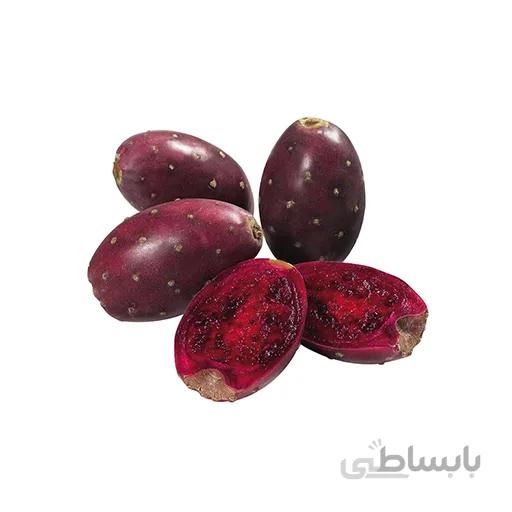 بذر میوه کاکتوس قرمز