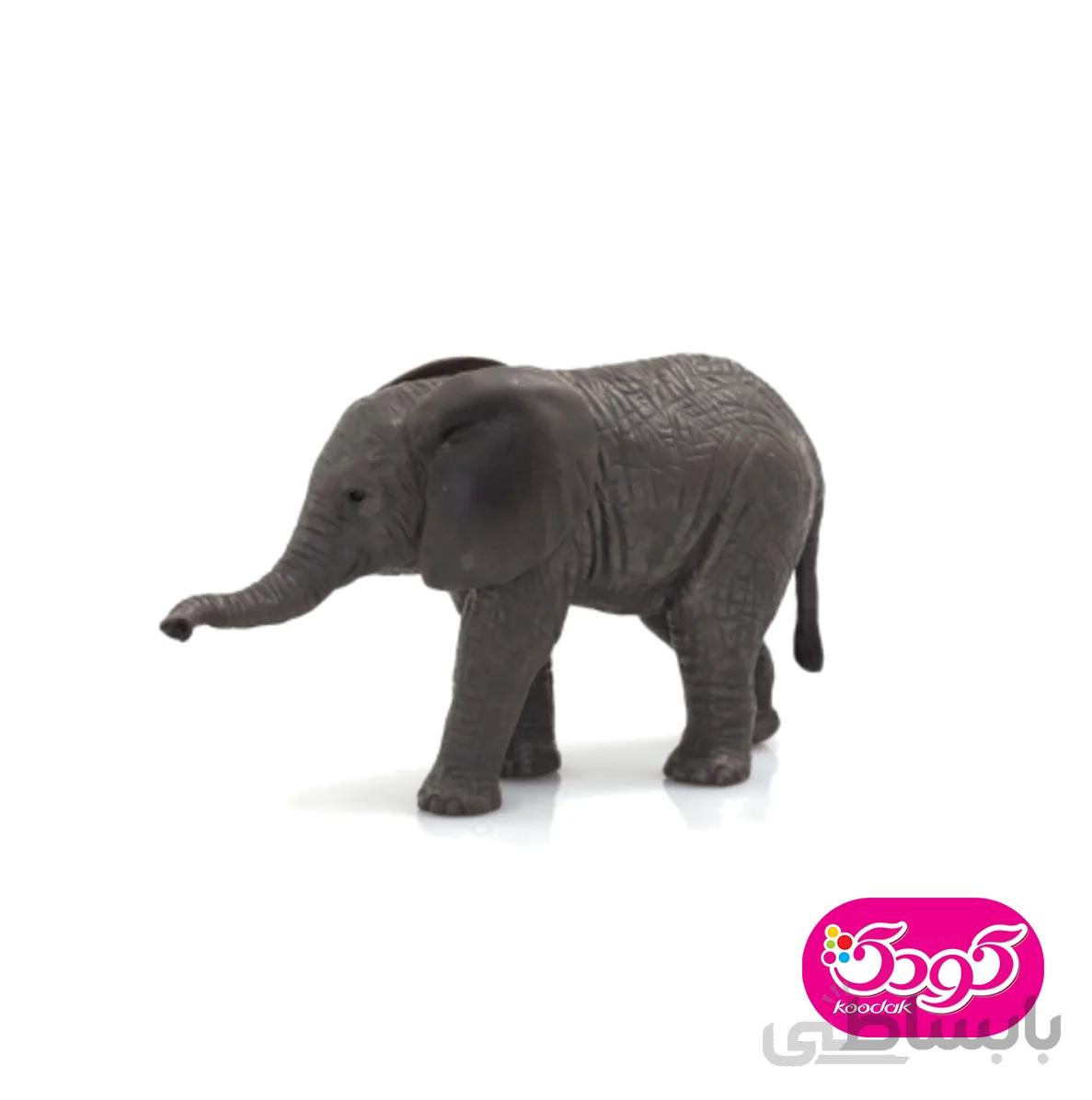 بچه فیل آفریقایی 387190 – حیوانات موجو