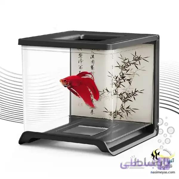 مینی آکواریوم ماهی فایتر مشکی ۰۲ هایلا