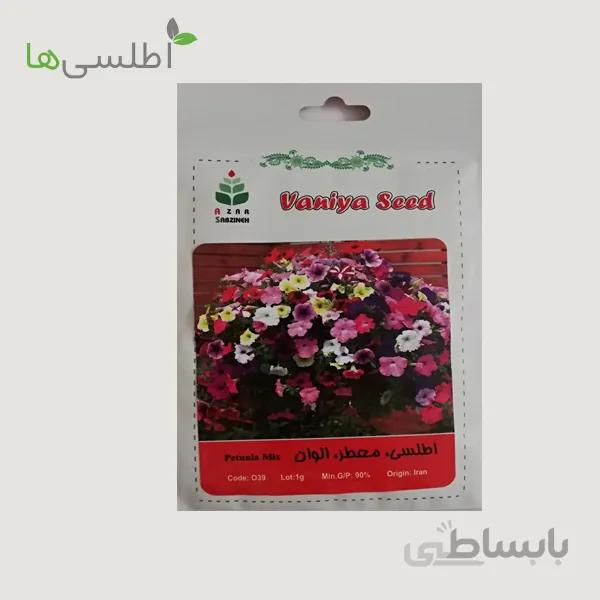 بذر اطلسی