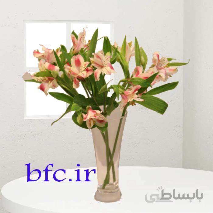 گل آلسترومریا