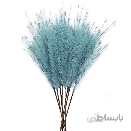 بذر پامپاس گراس آبی