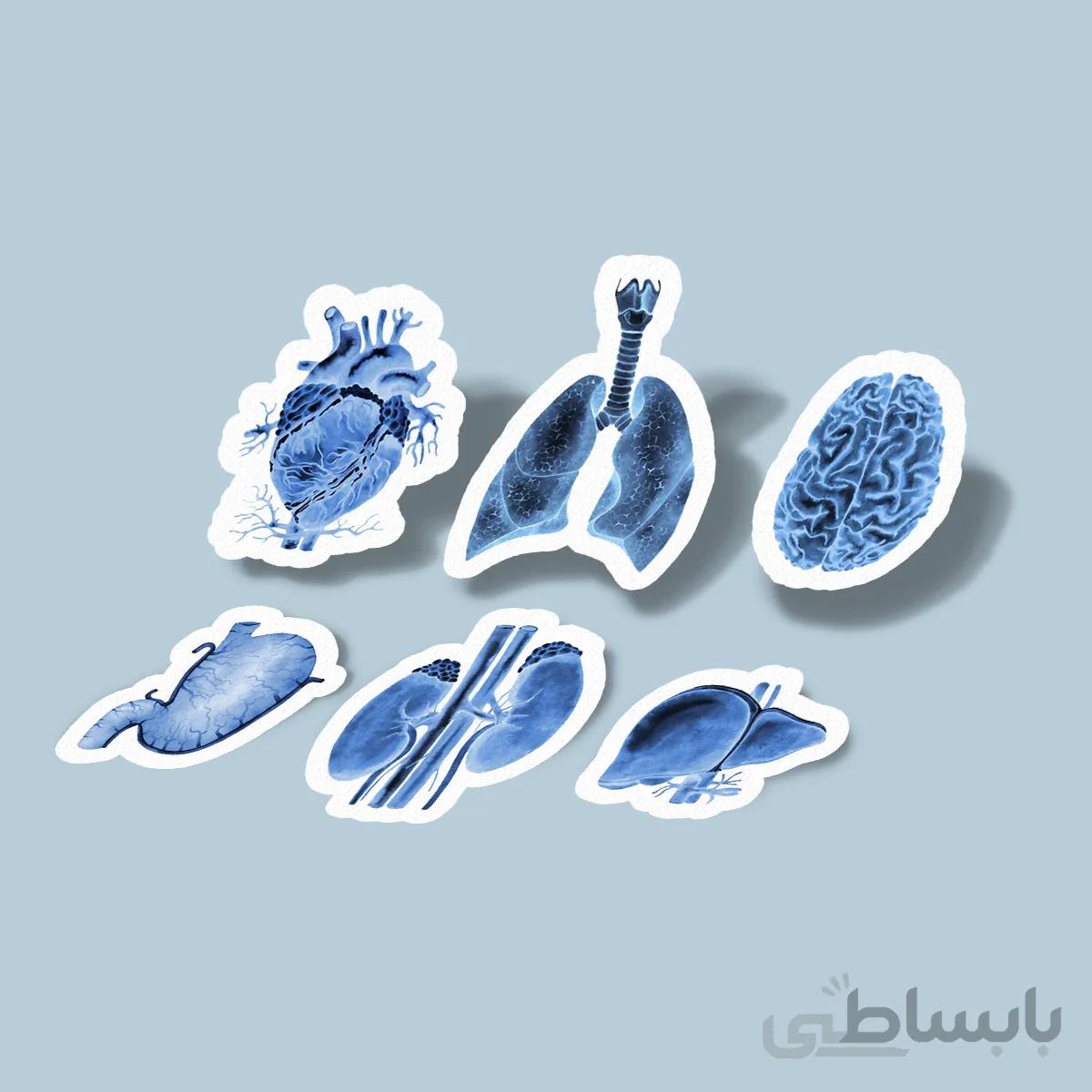 استیکر blue anatomy