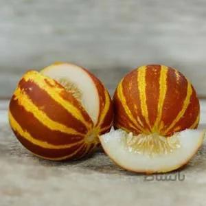 بذر خربزه ی مینیاتوری ببری بسته 1000 عددی