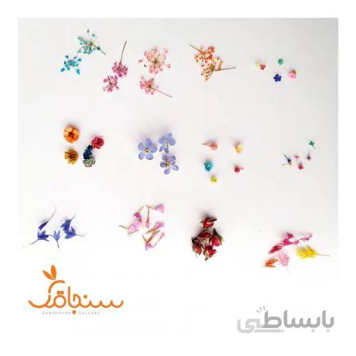 پک تخفیفی گل خشک مینیاتوری رزین(ویژه کاشت ناخن و میکرو رزین)