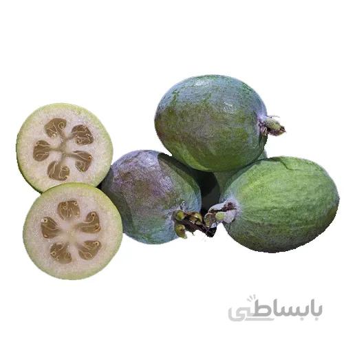 بذر میوه فوجیا گرد زودرس ا Feijoa