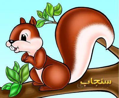 سنجاب (حیوانات مزرعه)