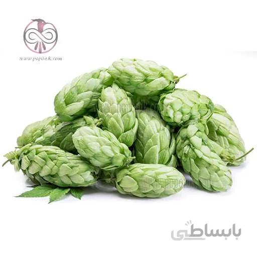 بذر رازک