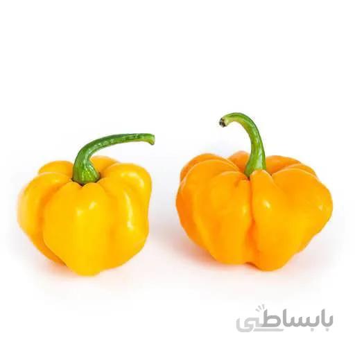بذر فلفل زرد جامائیکا بونت بسیار تند