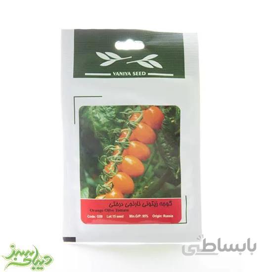 بذر گوجه زیتونی نارنجی درختی