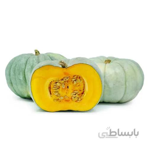 بذر کدو تنبل آبی (عروسکی)