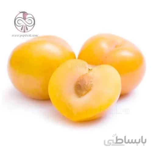 نهال الو طلایی