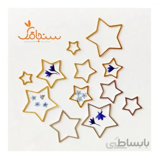 فریم ظریف(ستاره)