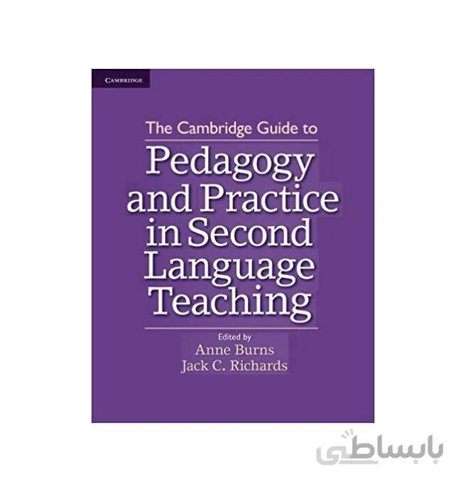 pedagogy and practice in second language teaching
