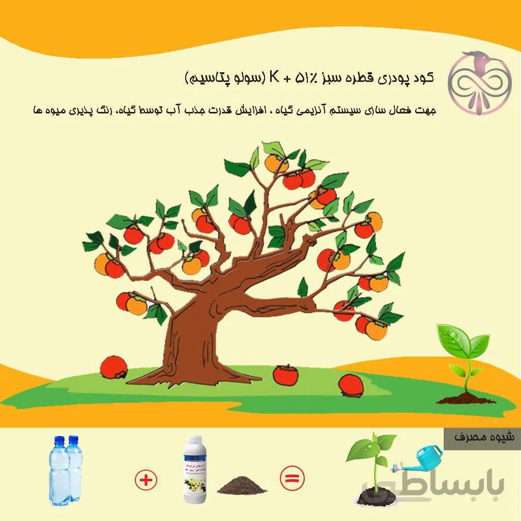 کود پودری قطره سبز 51% + K (سولو پتاسیم)