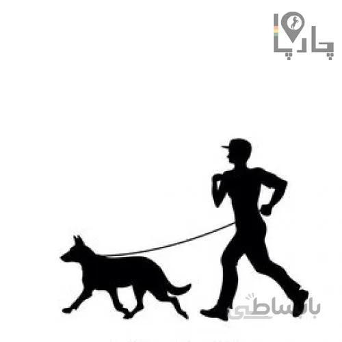 کلاس اطلاعات پایه در مورد تربیت سگ ها
