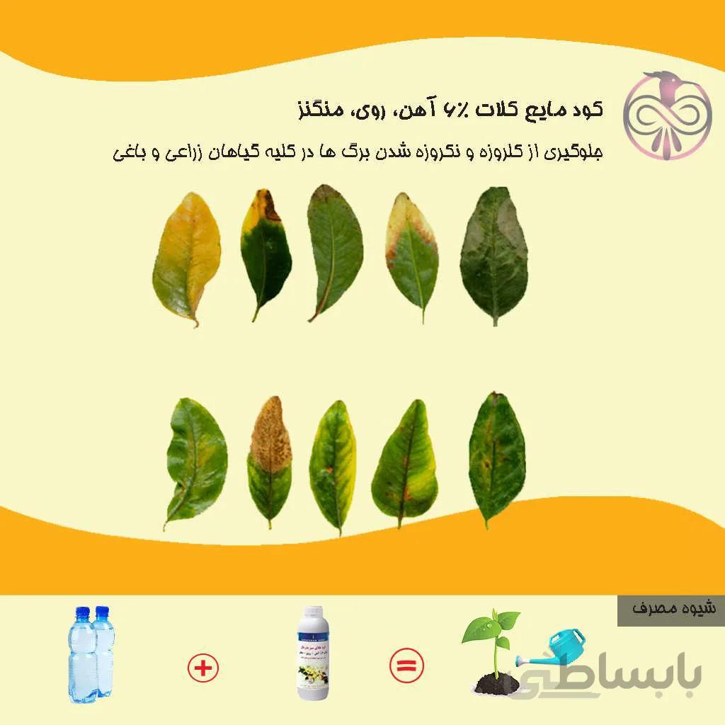 کود مایع کلات 6% آهن، روی، منگنز