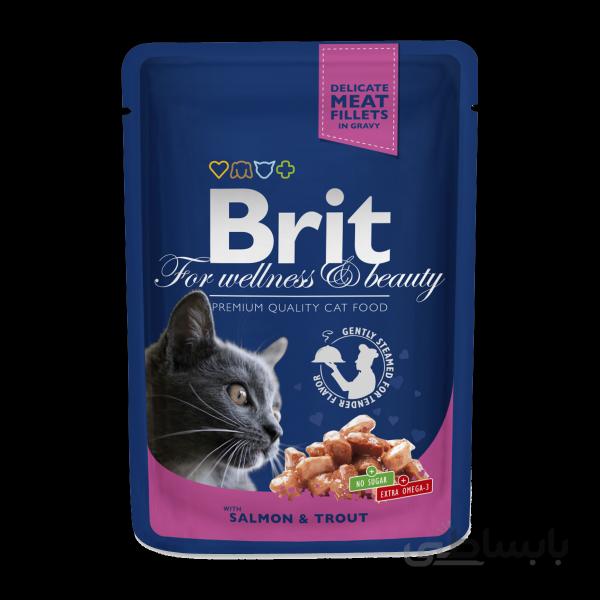 غذای پوچ گربه بریت Brit با طعم ماهی سالمون حاوی سس وزن 100 گرم