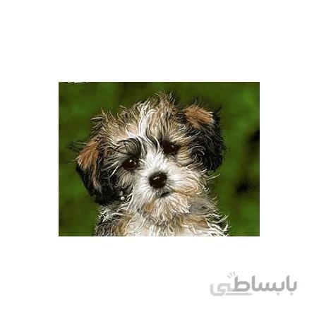 نخ و نقشه آموزشی تابلو فرش کد 42