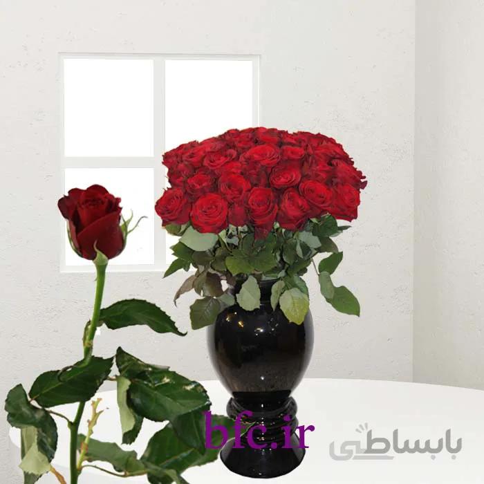 یک شاخه رز هلندی کد 1079675