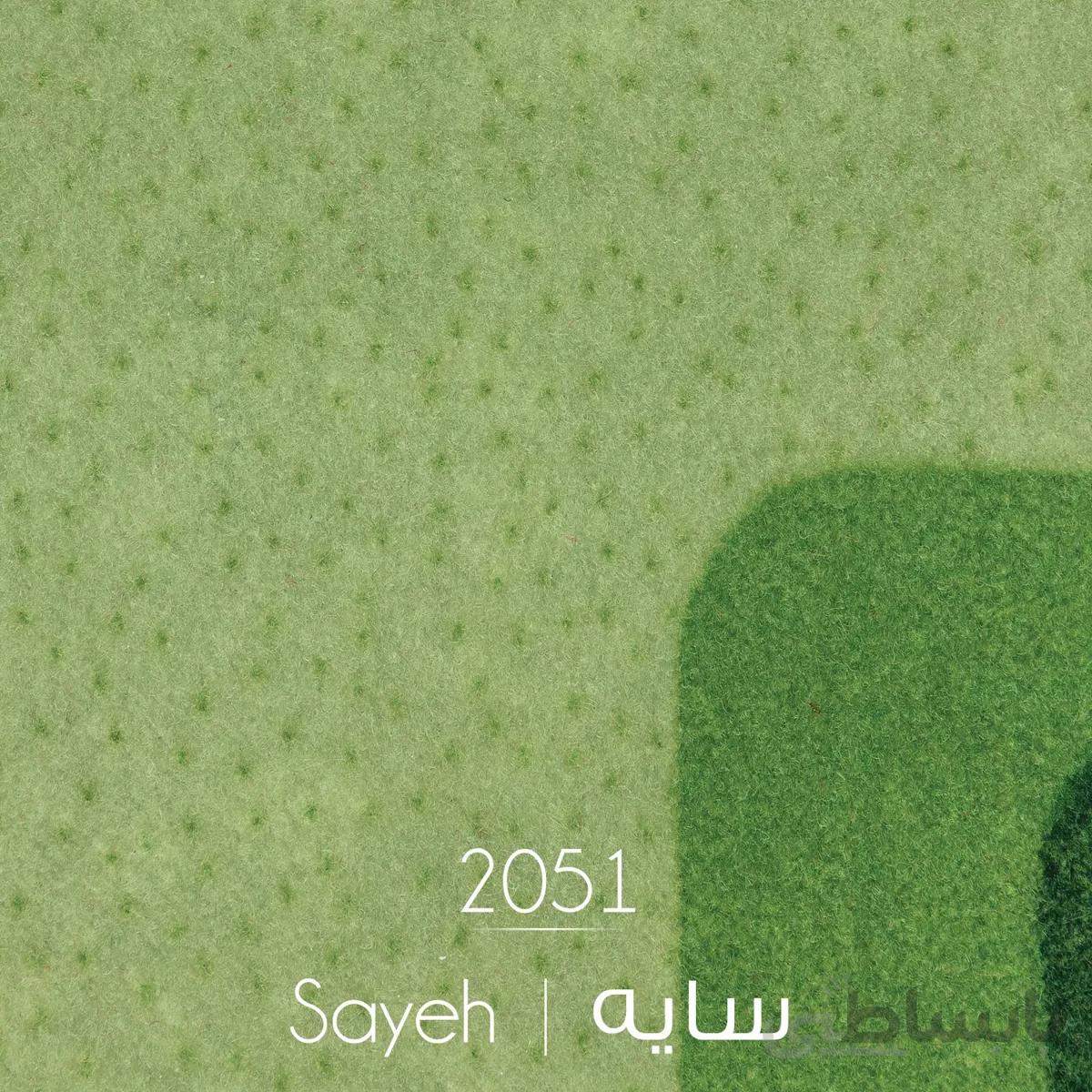 ظریف مصور طرح سایه 2051