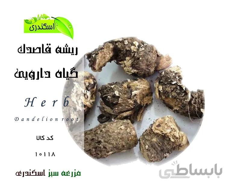 ریشه قاصدک (هندی)