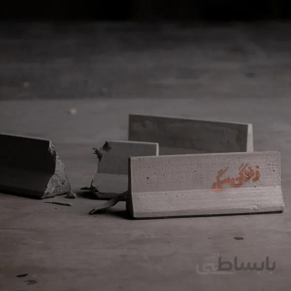 نیوجرسی زندگی سگی