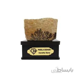 سنگ شجر فسیلی (دندریتی ) کد 2352 ا قیمت به شرط خرید تیمی
