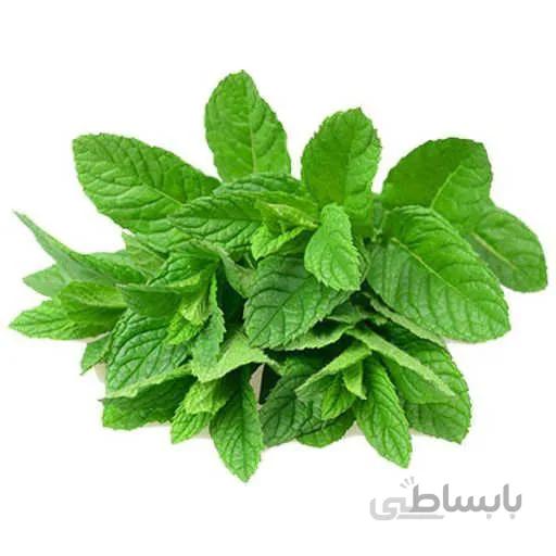 بذر نعنا موهیتو