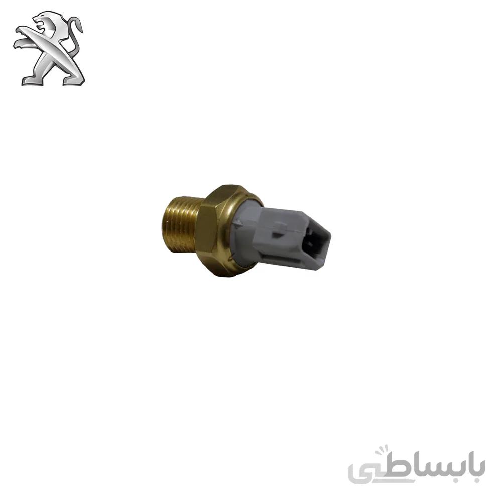 فشنگی روغن پژو 405