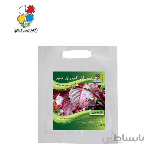 ( بسته 24 عددی ) بذر گل آشلانتوس بسته بندی بزرگ