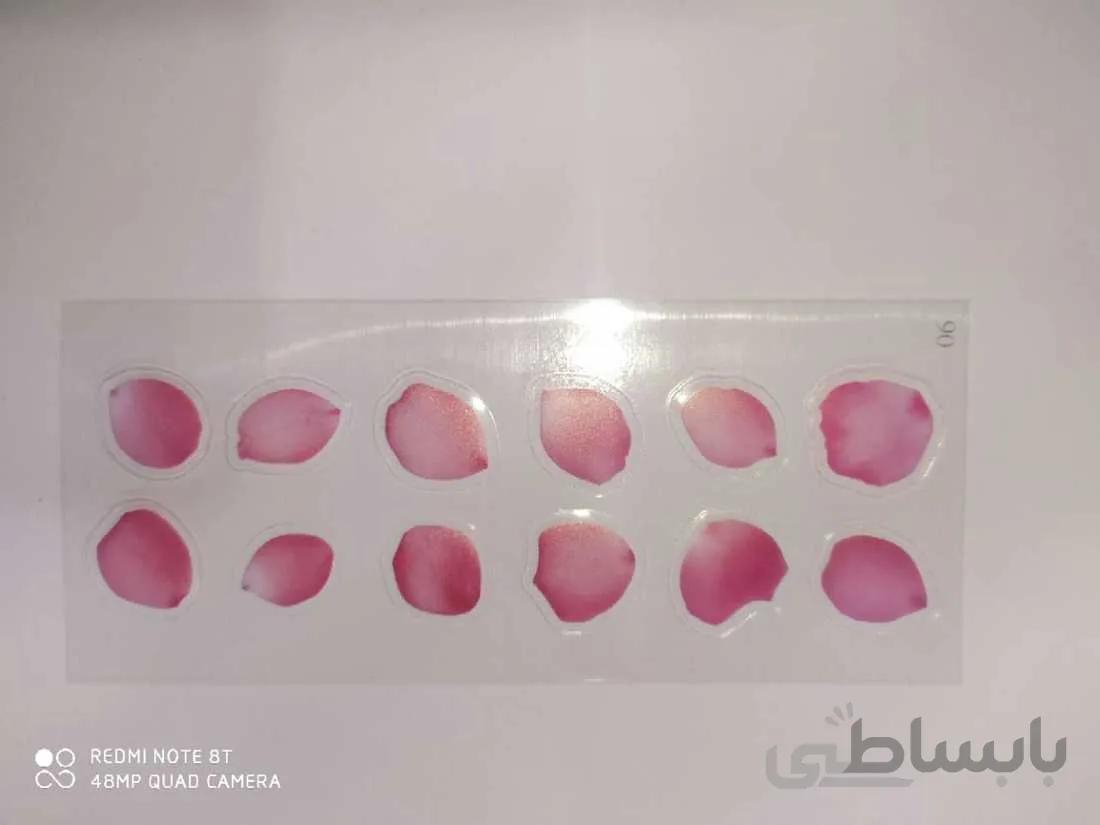 ترنسفر گلبرگ کد 06