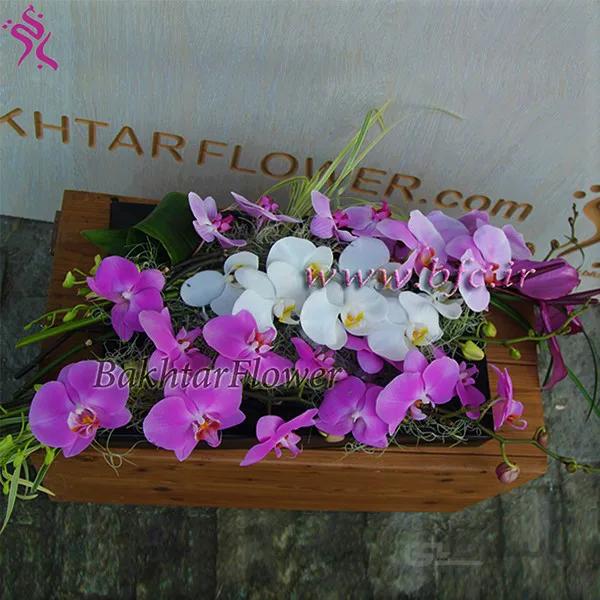 باکس چوبی با ارکیده