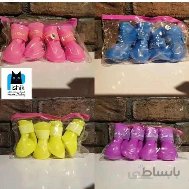 کفش ژلاتینی مخصوص سگ و گربه