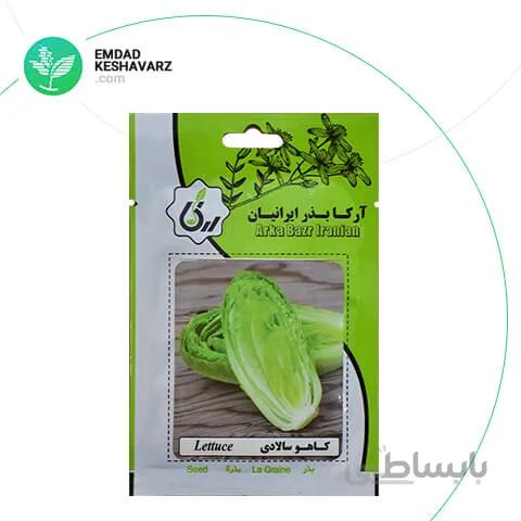 بذر کاهو سالادی آرکا بذر