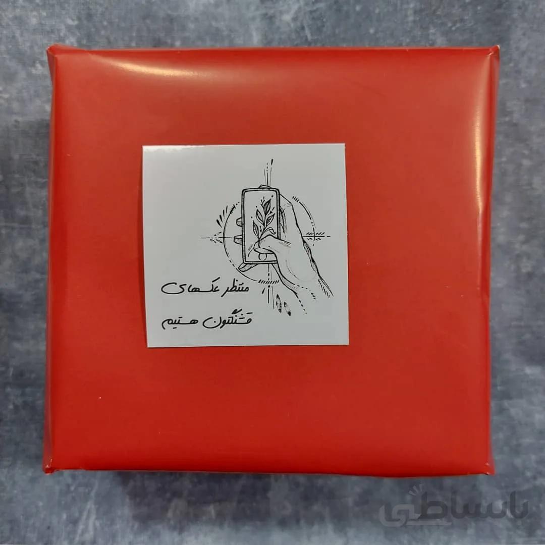 استیکر کسب و کاری عکاسی (مجموعه 30 عددی)