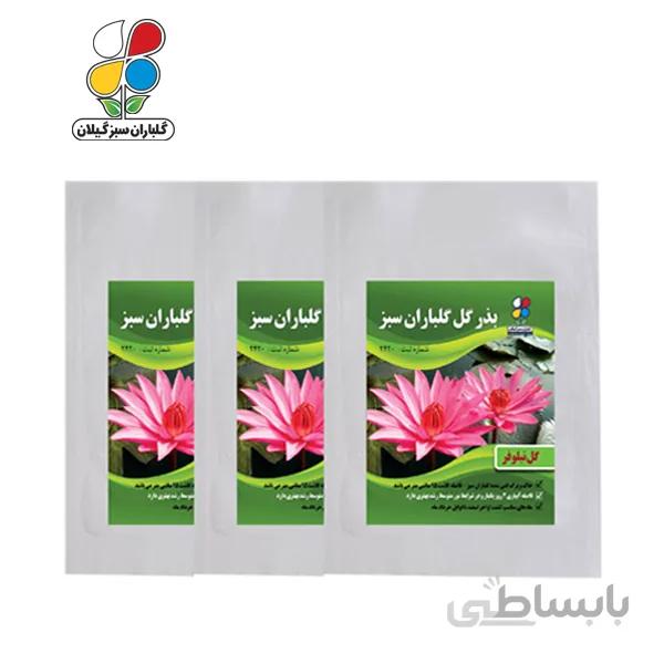 بذر گل نیلوفر بسته 3 عددی مدل GPSF7L