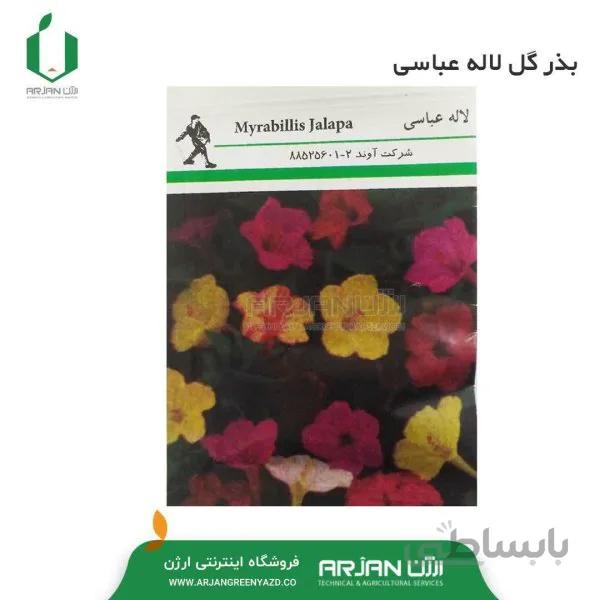 بذر گل لاله عباسی 5 گرمی
