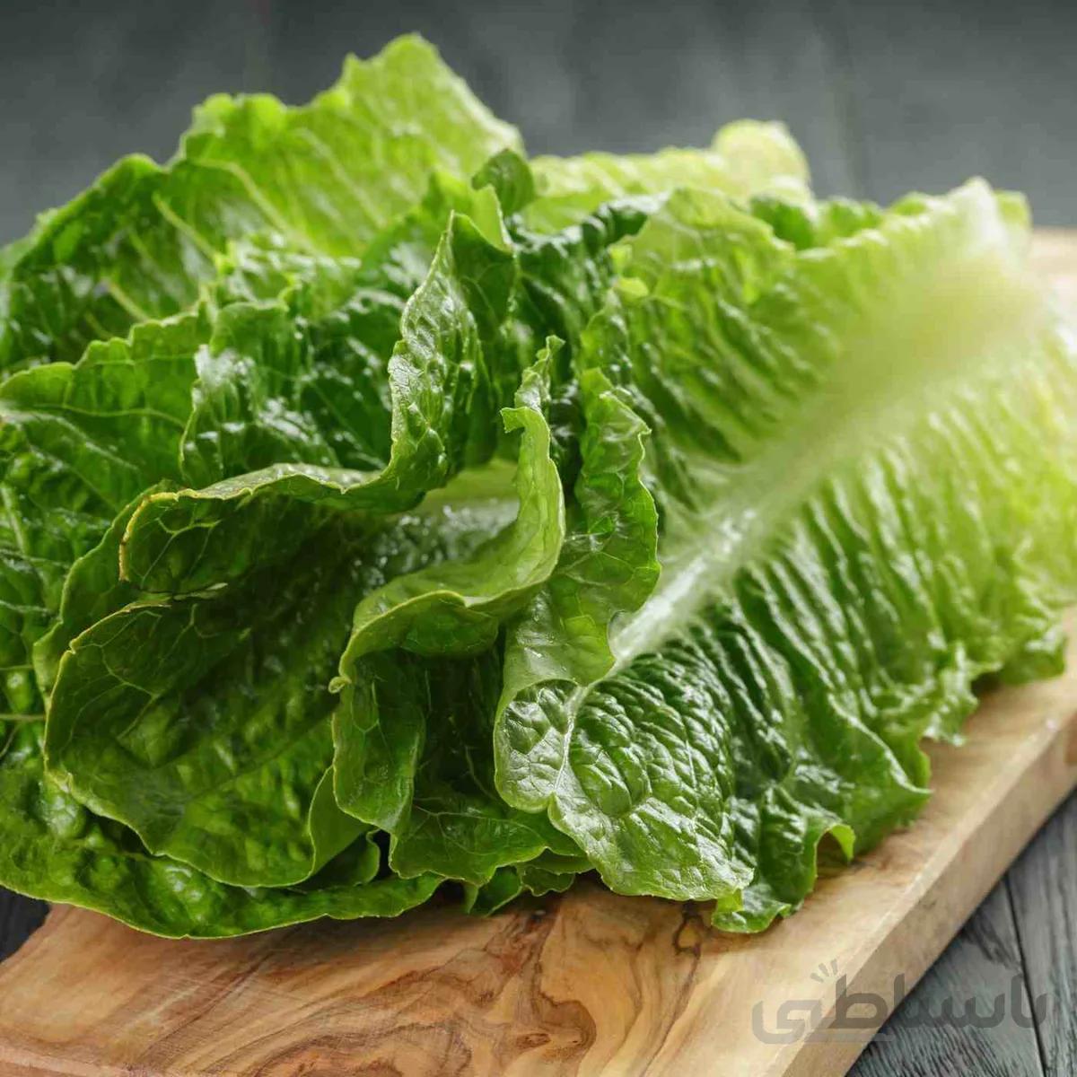 بذر کاهو درجه یک ( اورجینال )