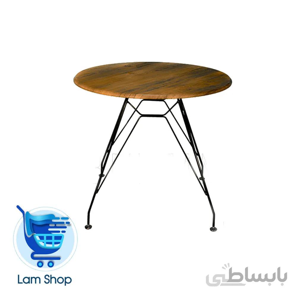 پایه ایفلی TM530 بنیزان