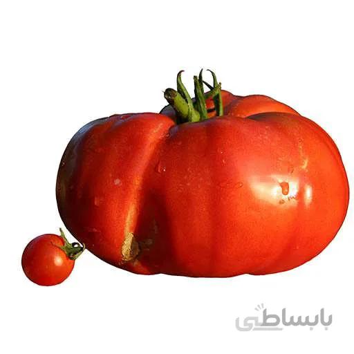 بذر گوجه فرنگی بیف استیک قرمز