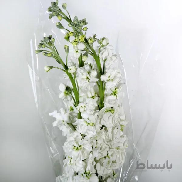 دسته گل کوچک شب بو