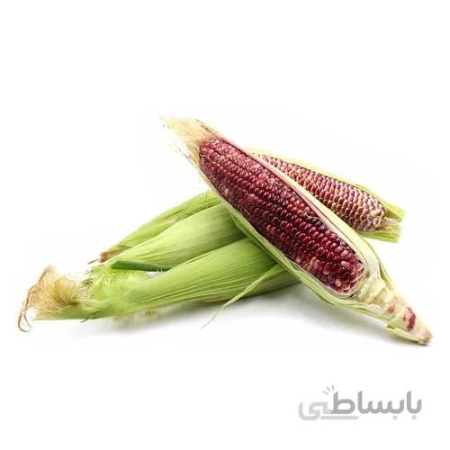 بذر ذرت حنایی