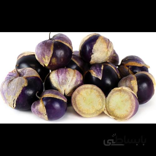 بذر فیسالیس بنفش بسته ۱۰ عددی