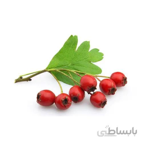 بذر زالزالک چینی