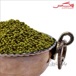 شاهدانه کد 446060